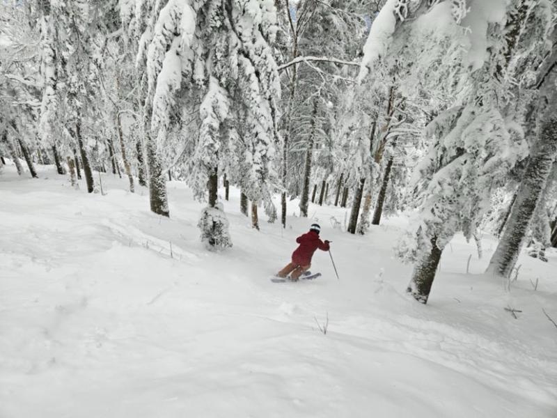 Station touristique Massif du Sud - Des conditions parfaites