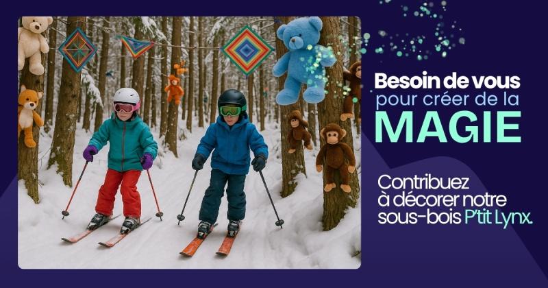 Mont Grand-Fonds -  Une véritable Forêt Magique se transforme