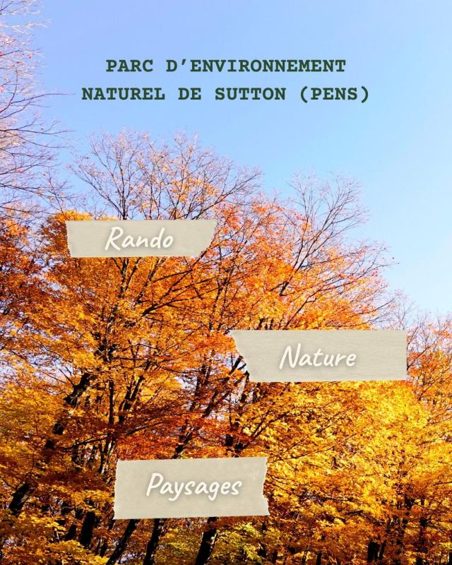 Mont Sutton - Le Festival d'automne de la ville à la montagne