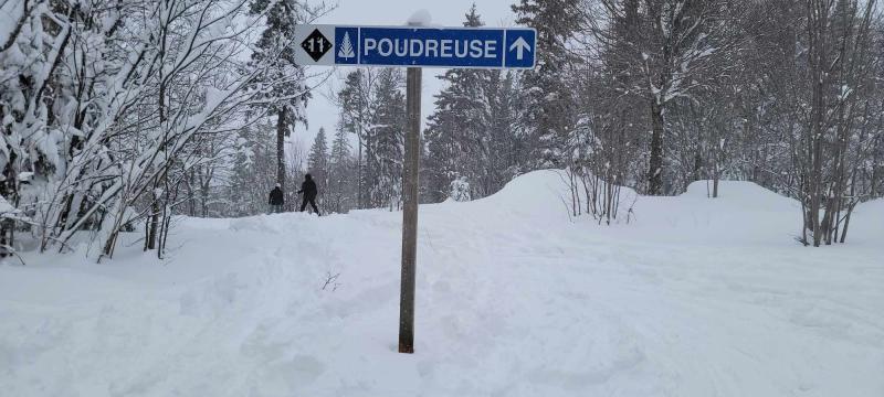 Parc du Mont Saint-Mathieu -Une belle neige naturelle juste pour nous.